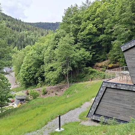 Smart Vakantiehuis Bad Rippoldsau-Schapbach