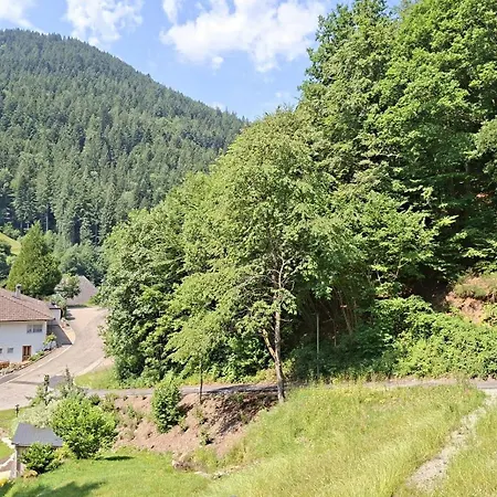 Smart Vakantiehuis Bad Rippoldsau-Schapbach